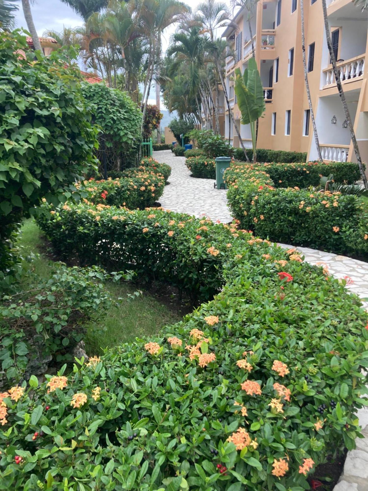 Cita Del Sol City Apartments Cabarete Exteriér fotografie